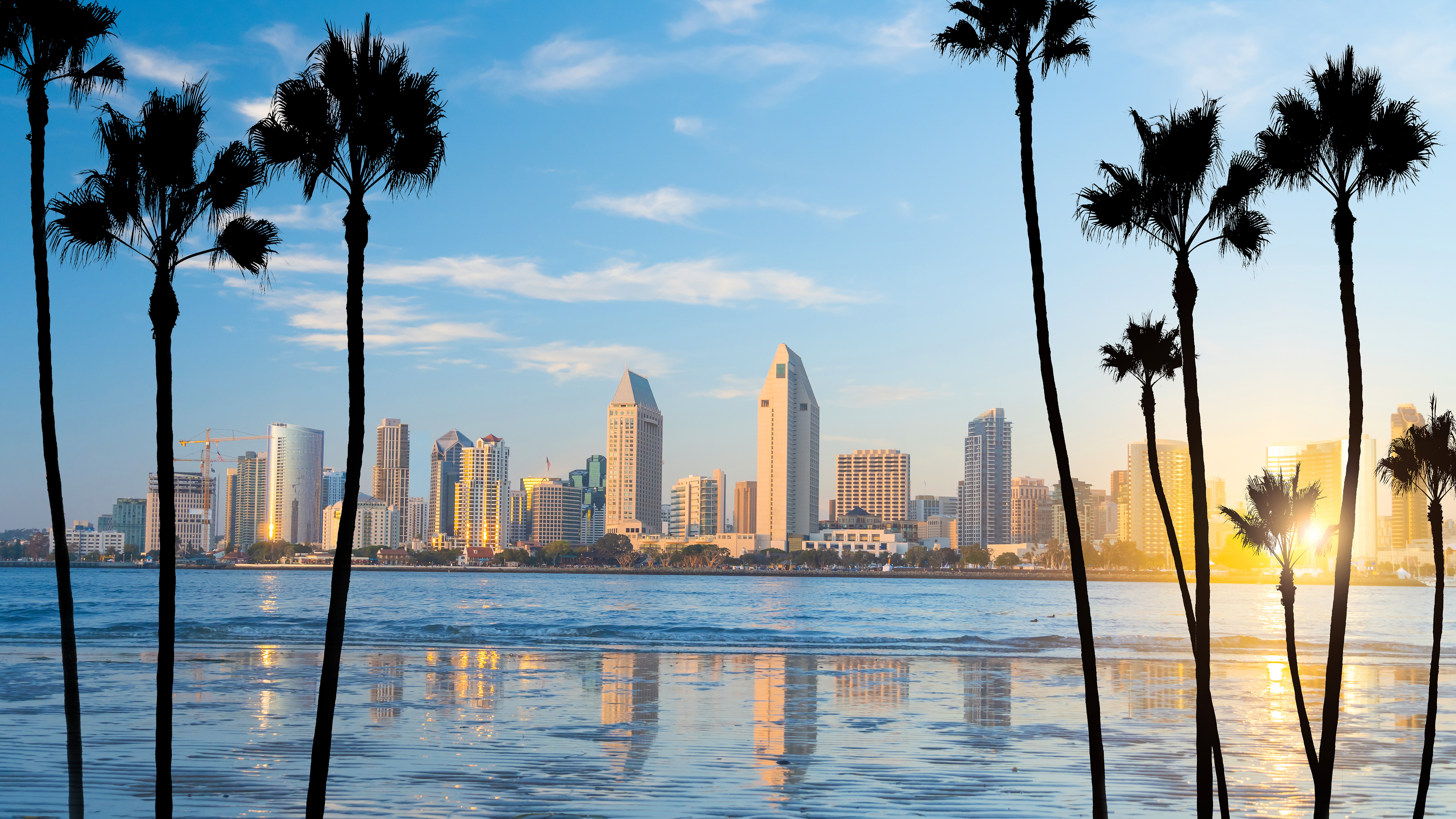 San Diego coastline with palm trees and the downtown skyline at sunset